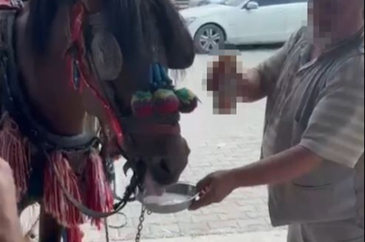 Muğla’da sünnet düğününde skandal!