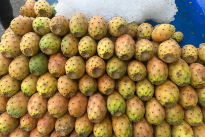 Adana’da yazın vazgeçilmezi dikenli incir tezgahlarda son günlerini yaşıyor