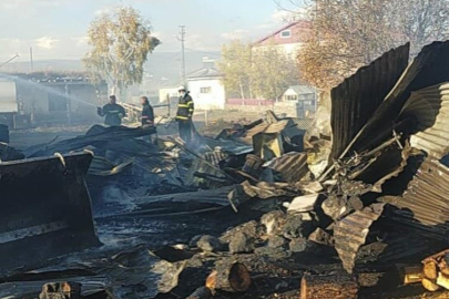 Ahır yangınında 15 küçük ve 8 büyükbaş hayvan telef oldu