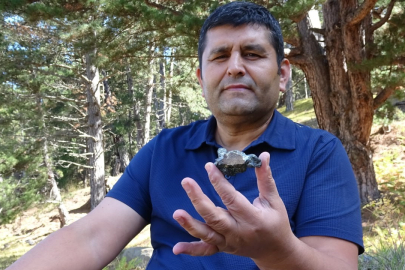 Mantar toplamak isterken göktaşı buldu!