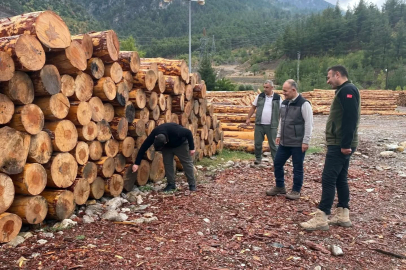 Orman emvali depolarında yakın takip: Etli saha denetiminde