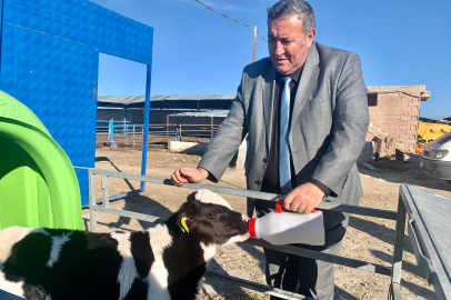 Gürer: Yerli üreticiye destek verilmeli, et fiyatları kontrol altına alınmalı