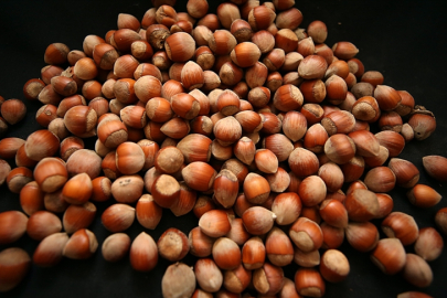 13 Ekim 2025 güncel fındık fiyatları: Giresun’da kilogram fiyatı 352,50 TL’ye kadar yükseldi!