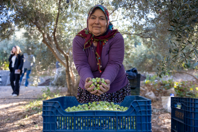 Büyükşehir, kadınların tarımdaki rolünü güçlendiriyor