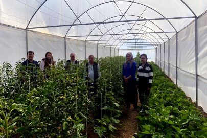 İklime Dirençli Ormancılık Projesi Adana’da ‘meyve’ veriyor