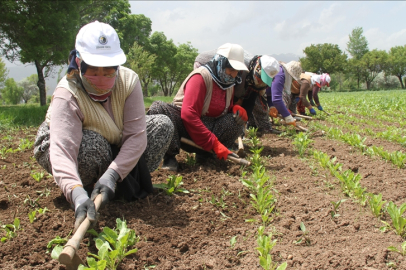 Ömer Fethi Gürer, Dünya Çiftçi Kadınlar Günü’nde kadınların sorunlarını Meclis’e taşıdı