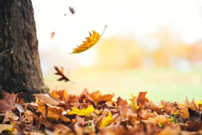 Pastırma Yazı 2025 ne zaman başlıyor? Tarihler, süre ve hava durumu