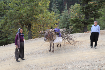 Adana dağ köylerinde eşekle odun taşıyan çiftin nostaljik yaşamı