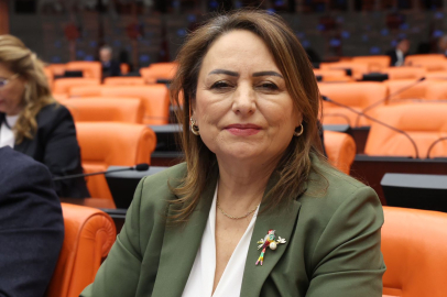 Dr. Şevkin: Aladağ, dört mevsim turizm merkezi olabilir