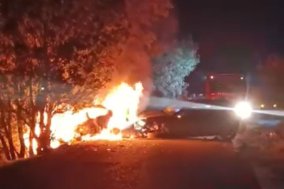 Bursa’da korkunç kaza: Araç alev aldı, yangın ormana sıçradı