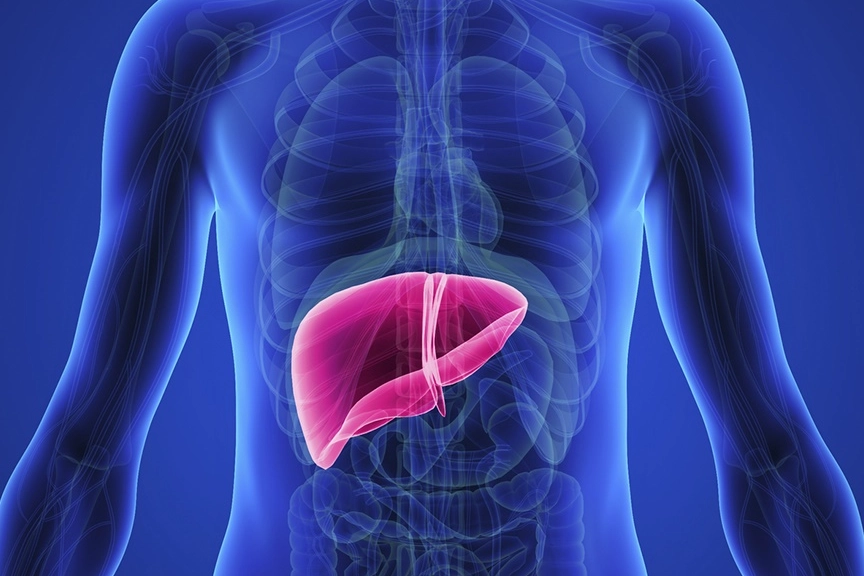 Karaciğerinizi Korumak İçin Hangi Besinleri Tüketmelisiniz? Hangi Yiyecekler Sağlığı Destekliyor?