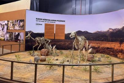 Kayseri’de 7,7 milyon yıllık fosillerin eksik uzuvları 3D teknolojisiyle tamamlanıyor
