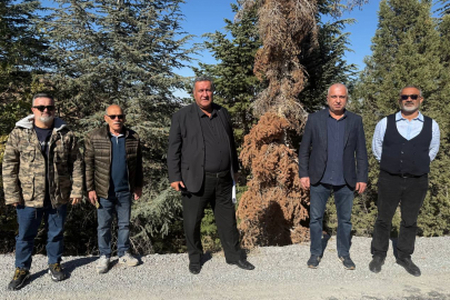 Gürer: Torosların yeşili kahverengiye dönebilir