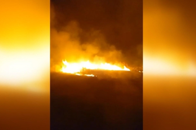 Hakkari’de Nehil Sazlığı’nda yangın: Binlerce kuş tehlikede