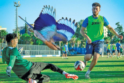 Kâbusu yaşayan Demirspor, 1. Lig'de tutunamıyor