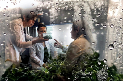 Altınoran ve LÖSEV’den lösemiye karşı güçlü iş birliği