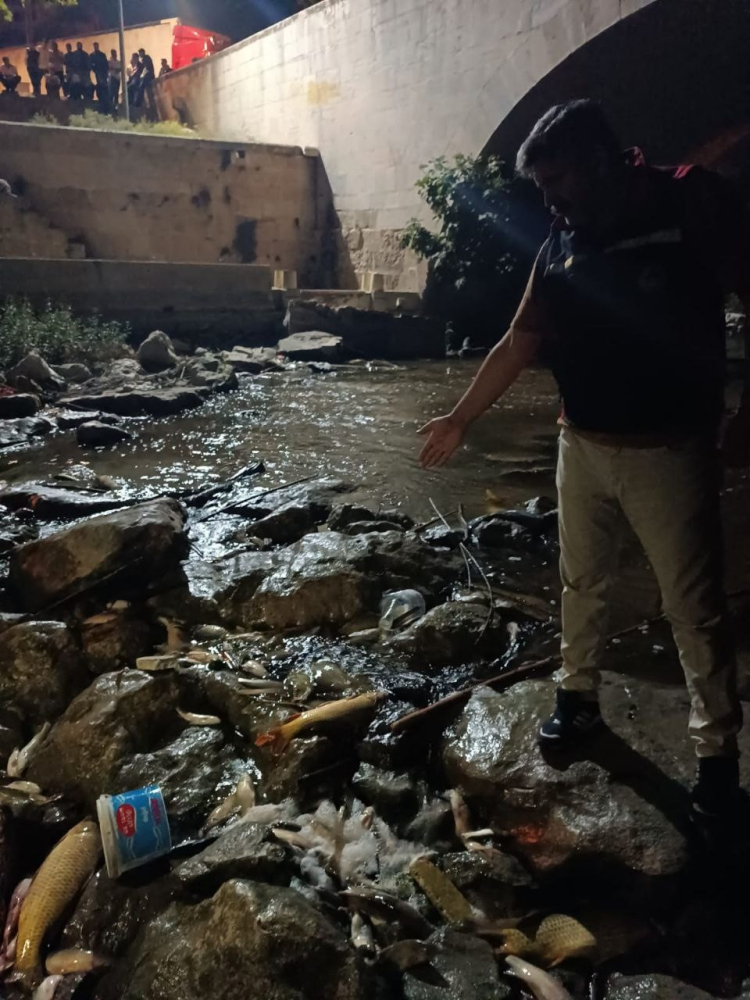 Ceyhan Nehri'ndeki balık ölümleri alarma geçirdi Sudan ve balıklardan numune alındı 2