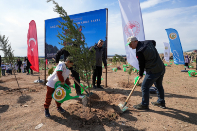 Adana, ‘Milli Ağaçlandırma Günü’ için 11 Kasım’da fidan dikecek