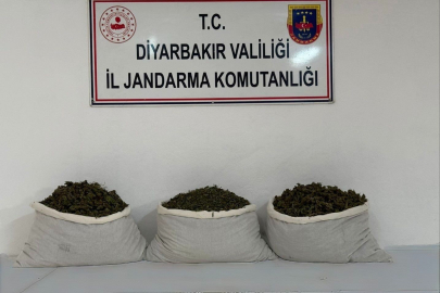 Diyarbakır Lice’de uyuşturucuya darbe: 15 kilogram skunk yakalandı