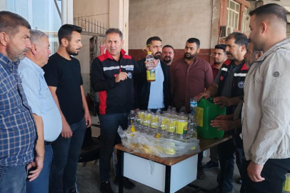 Akdeniz meyve sineği ile mücadele sürüyor