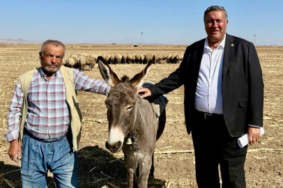 Gürer: Mera hayvancılığı yok olma noktasında, yerli üretici desteklenmeli
