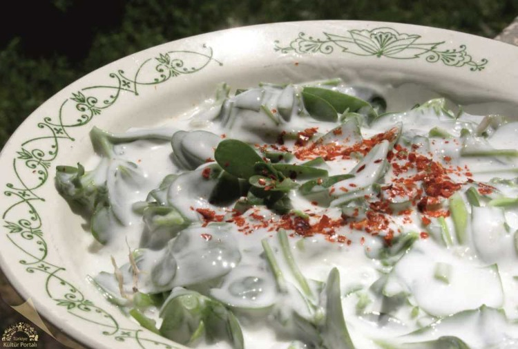 Yoğurtlu Taze Otlar