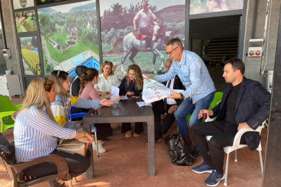 İyi Tarım Uygulamaları, Osmaniye’de zeytin verimini artıracak