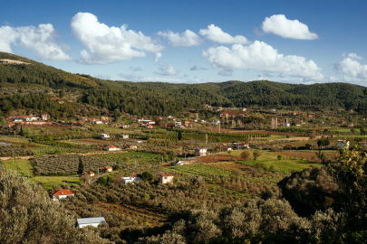 UNESCO listesindeki zeytin kültürü, Orhanlı’da kutlanacak