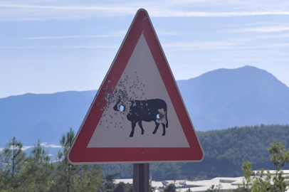 Mersin Bozyazı’da trafik levhalarına kurşunlu saldırı