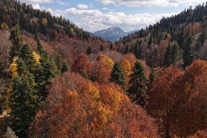 Adana’nın gizli cenneti Yirce, sonbahar renkleriyle büyüledi