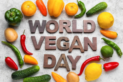 1 Kasım ne günü? | Dünya Yazarlar Günü ve Dünya Vegan Günü kutlanıyor