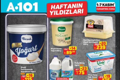 A101 1–7 Kasım Haftanın Yıldızları başladı: Ayçiçek yağı, çay, yoğurt, süt ve peynirde büyük indirim