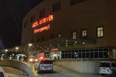 ‘Hayvan otlatma’ kavgası kanlı bitti: Komşusunu öldürüp intihar etti