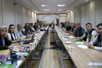 Orman yönetiminde öncelik, etkinlik ve şeffaflık