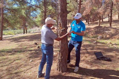 Hatay’da iki nadir tür için umut yeşeriyor