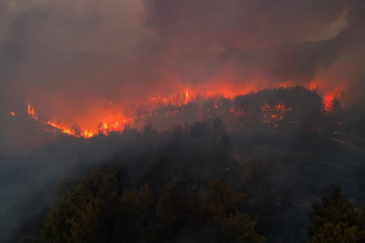 Buca’da minibüs yangını: 174 hektarlık orman zarar gördü, 4 kişi hakkında 7 yıla kadar hapis istemi