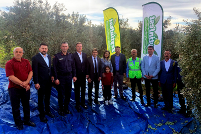 Zeytin hasadı ve kültürel şenlikler Ellek’te buluştu