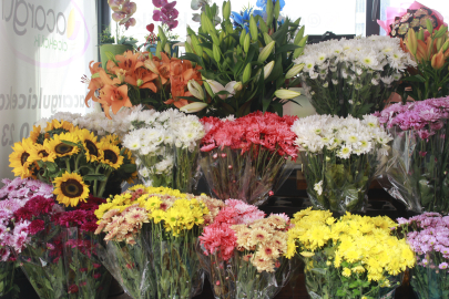 Acar: Kış aylarında canlı çiçekler için doğru sulama ve ortam şartı önemli