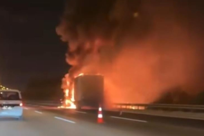 Adana’da seyir halindeki tır alev alev yandı