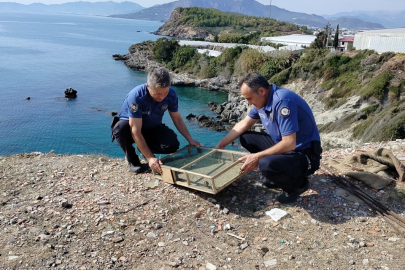 Mersin'de kafes içerisinde ele geçirilen 80 saka kuşu doğaya salındı