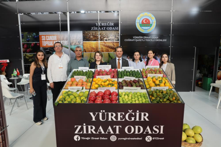 Adana’da tropikal meyve şaşkınlığı Ejder meyvesi, mango ve avokado yoğun ilgi gördü 2