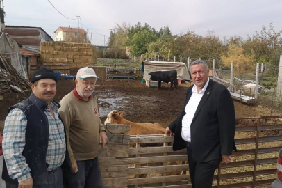 Gürer: Hayvancılıkta çiftçi, besici ve üretici zarar ediyor
