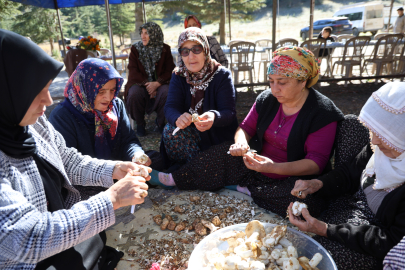 Kilosu etle yarışan “beyaz altın” sedir mantarı Japonların ve Korelilerin gözdesi oldu