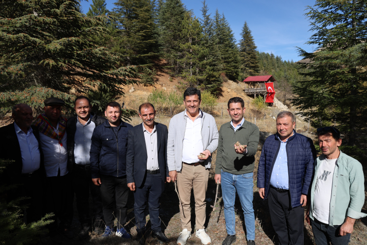 Kilosu etle yarışan “beyaz altın” sedir mantarı Japonların ve Korelilerin gözdesi oldu 2