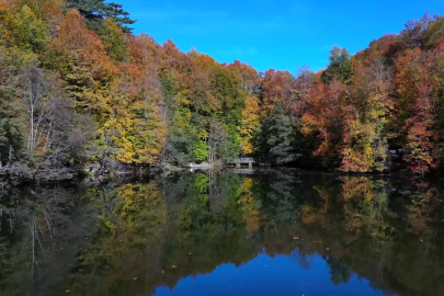 Orman denizi Yedigöller, kahverengi, sarı ve yeşilin büyüleyici tonlarıyla görenleri hayran bırakıyor