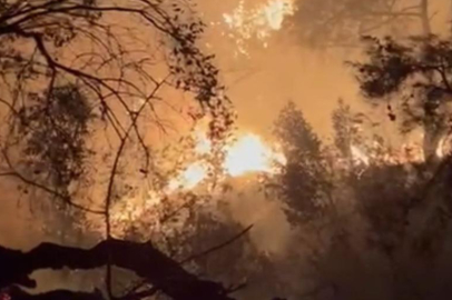 Adana’da gece çıkan orman yangını büyümeden söndürüldü