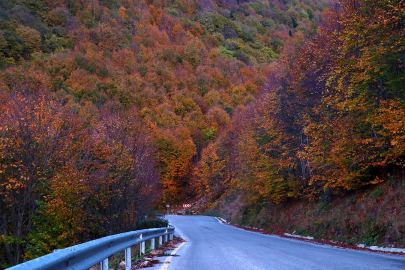Kartepe’de Sonbahar: Renk Cümbüşü Havadan Görüntülendi