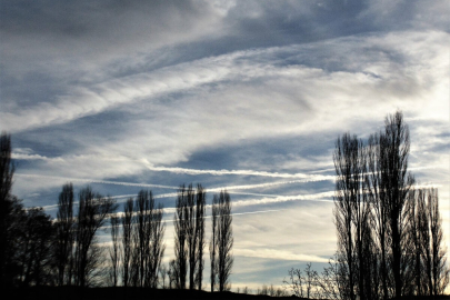 8 Kasım Cumartesi Adana Hava Durumu | Adana hava durumu, yarın hava nasıl olacak?