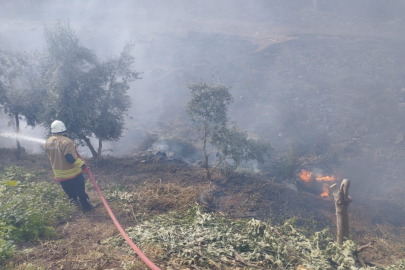 Hatay’da iki ayrı yangın paniği: Alevler evlere sıçramadan söndürüldü