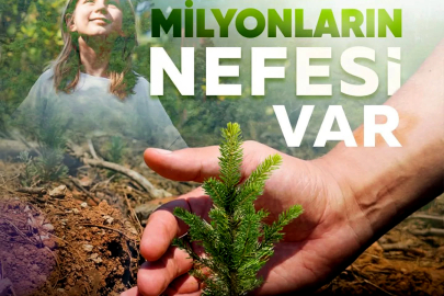 Hatay Tabiatı Koruma Derneği’nden 11 Kasım’a 'yeşil' destek